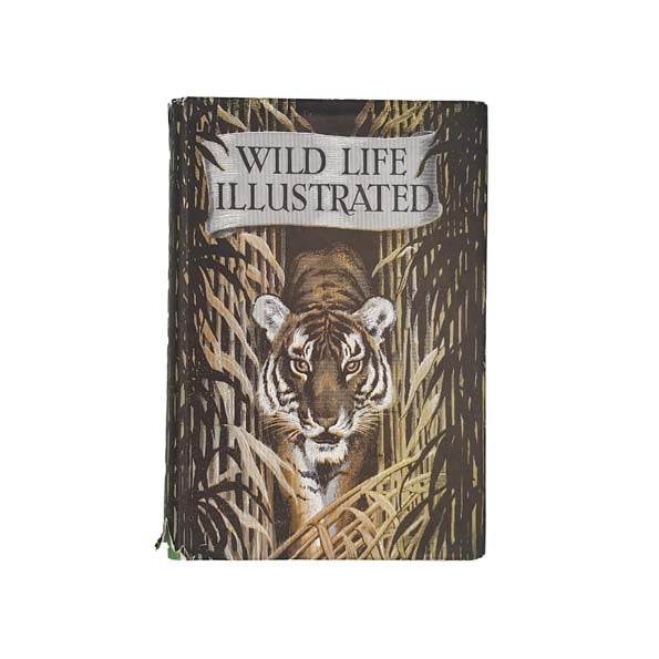 Wild Life Illustrated - Odhams, c1950