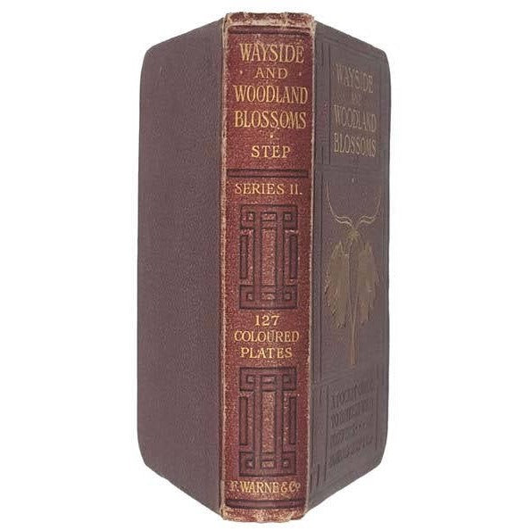Wayside and Woodland Blossoms Series II by Edward Step - Warne &amp; Co.