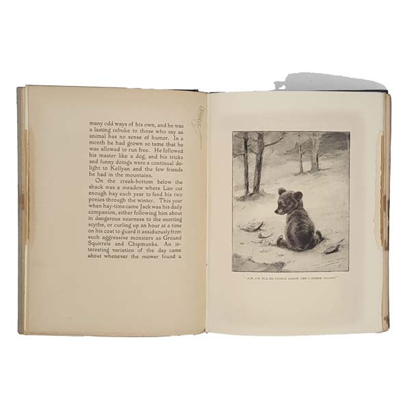 Monarch The Big Bear of Tallac by Ernest Thompson Seton, 1905