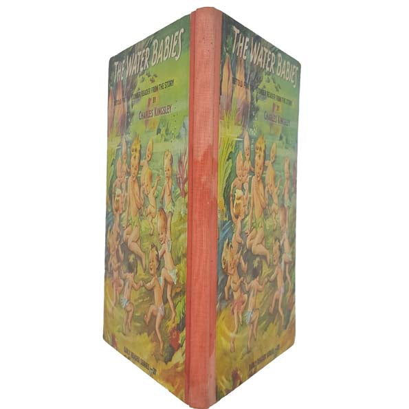 The Water Babies by Charles Kingsley - Spring Books