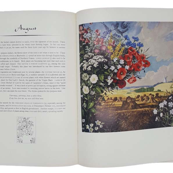 The Shell Guide to Flowers of the Countryside 1958 - Phoenix House