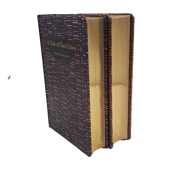 Charles Dickens' Great Expectations &amp; A Tale of Two Cities - New Chiltern Publishing