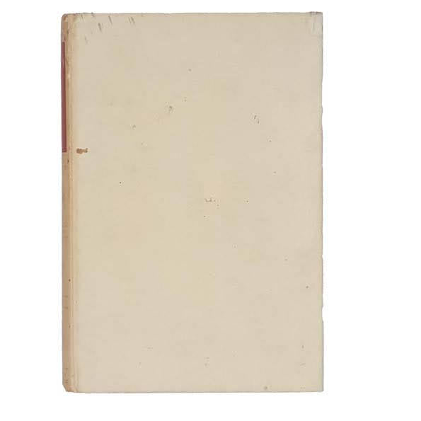 Mark Twain’s Huckleberry Finn - Nelson