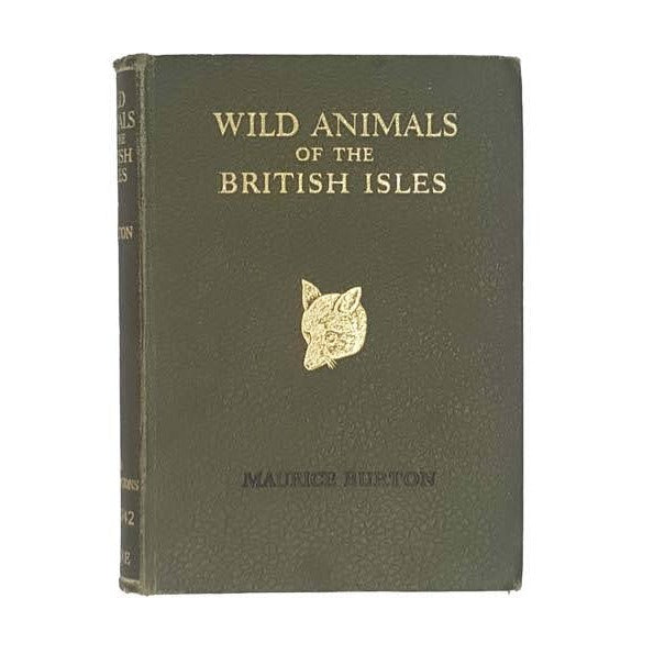 Wild Animals of the British Isles by Maurice Burton - Warne, 1960