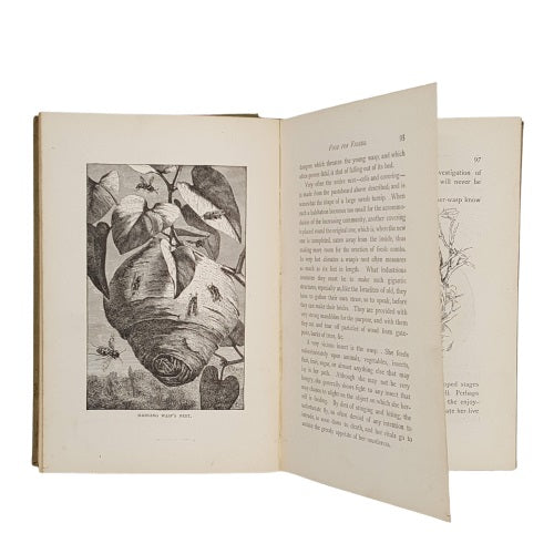 Nature's Wonder-Workers by Kate R. Lovell, 1896