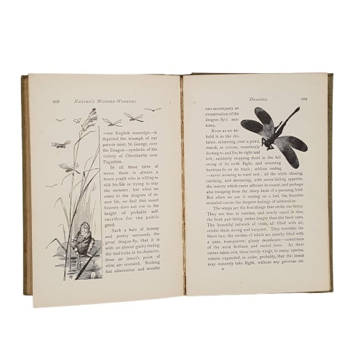 Nature's Wonder-Workers by Kate R. Lovell, 1896