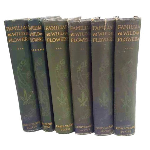 Familiar Wild Flowers by F. Edward Hulme - 6 Books