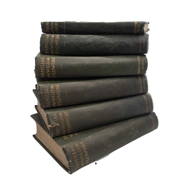 Familiar Wild Flowers by F. Edward Hulme - 6 Books