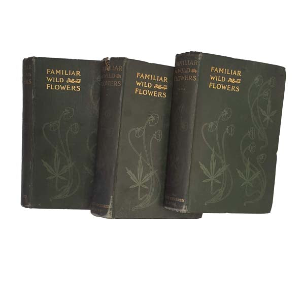 Familiar Wild Flowers by F. Edward Hulme - 6 Books