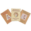 Beatrix Potter Mischievous Mice Collection - Beige