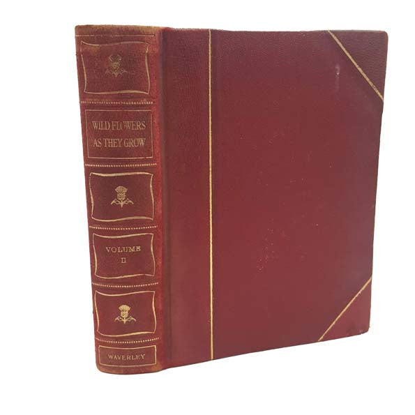 Wild Flowers As They Grow, Vol. II by G. Clarke Nuttall