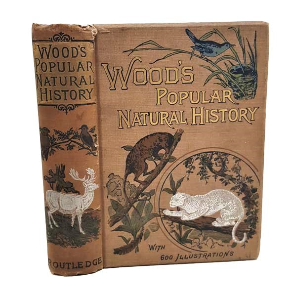 Wood's Popular Natural History, 1899