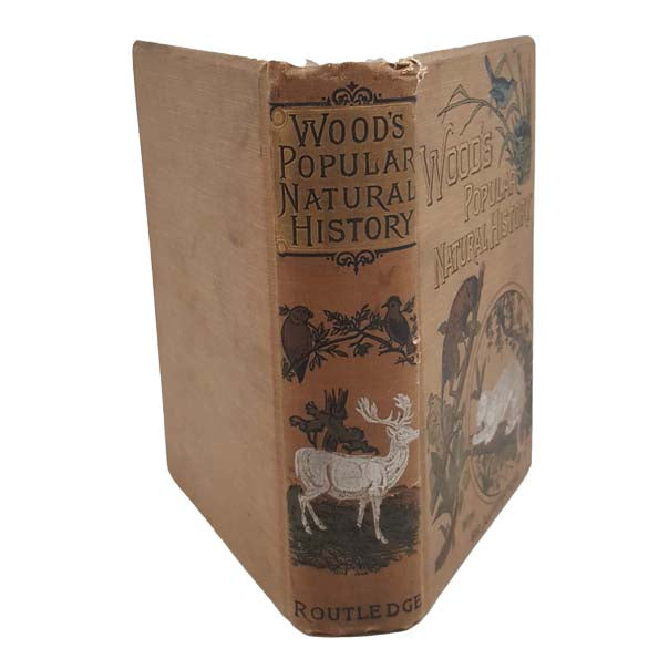 Wood's Popular Natural History, 1899