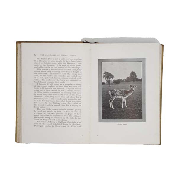 The Fairyland of Living Things by Richard Kearton, 1914
