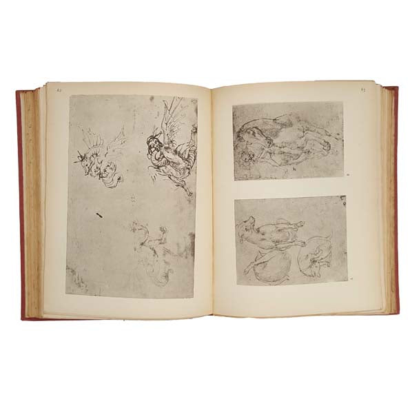The Drawings of Leonardo Da Vinci by A. E. Popham, 1947