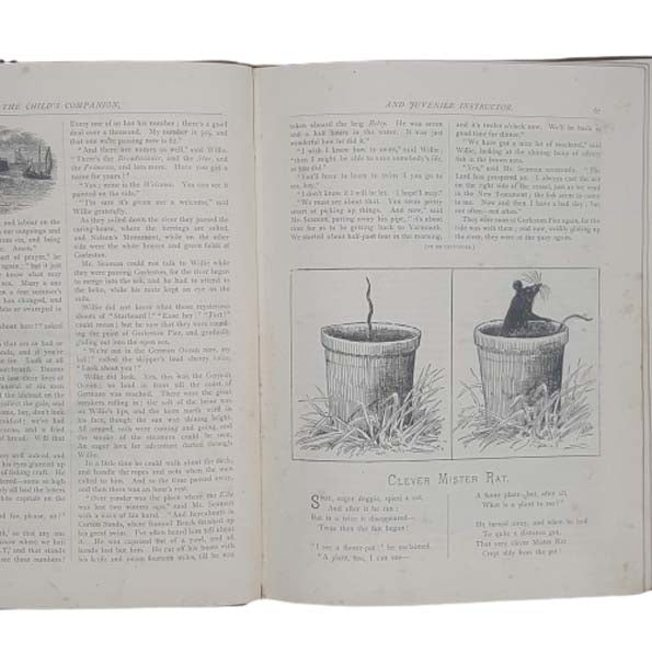 The Child's Companion - Religious Tract Society