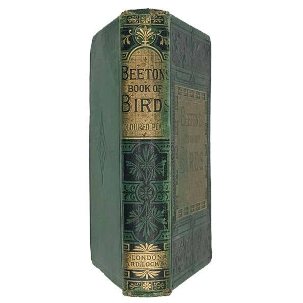 Beeton’s Book of Birds - Ward, Lock &amp; Co
