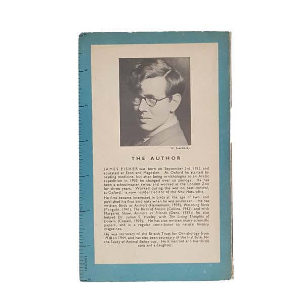 Bird Recognition Vol 1: Sea-Birds and Waders - Pelican, 1947