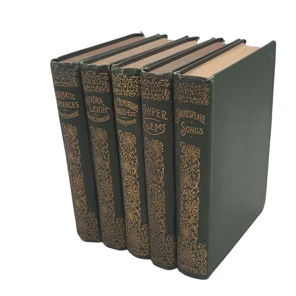 16-Book Decorative Collection of Poetry