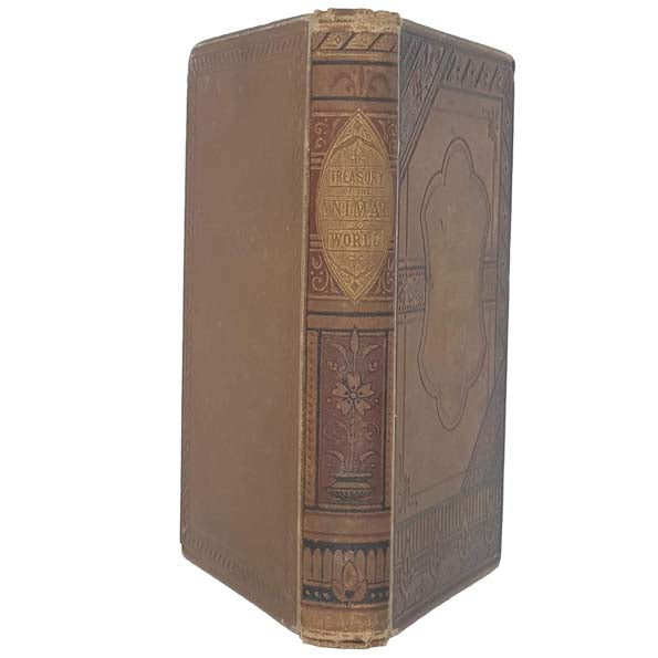 Treasury of the Animal World - 1886 Gall &amp; Inglis