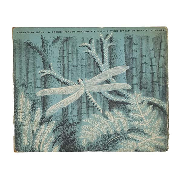 Extinct Animals by Hilary Stebbing - Puffin