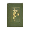 Flowers of the Field by Rev. C. A. Johns - Routledge, c1913