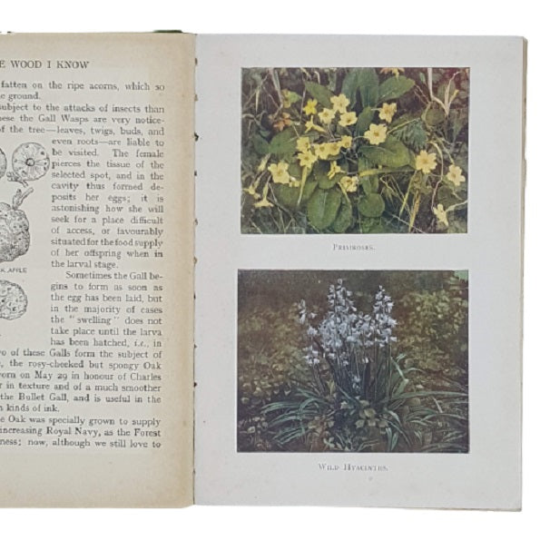 The Wood I Know - J. M. Dent 1909