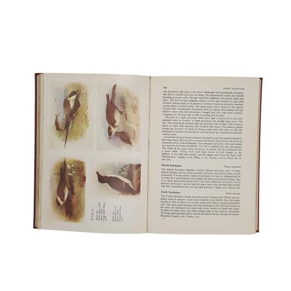 The Birds of the British Isles and their Eggs by T.A. Coward - Warne, 1958