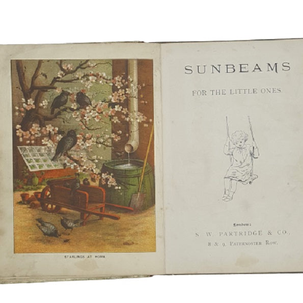 Sunny Days, A Picture Story Book - Partridge
