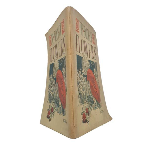 My Book of Wild Flowers by W. M. Daunt - Macmillan, 1943