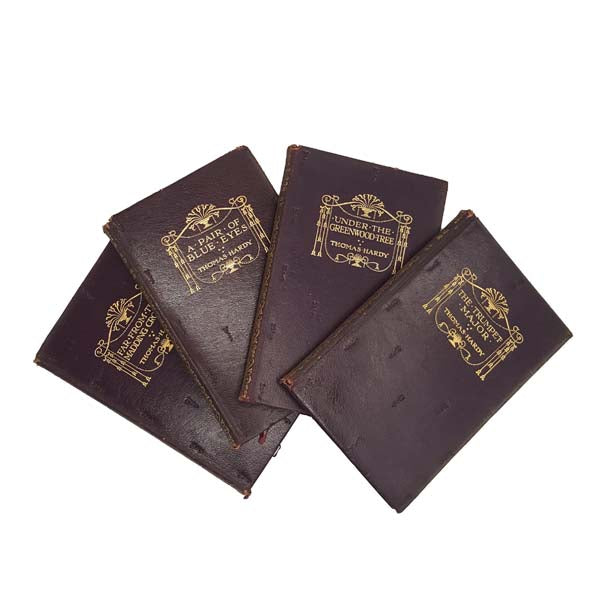 18 Thomas Hardy Leather Books - Macmillan, 1919