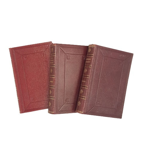 Charles Dickens Illustrated Novels - 9 Leather Books, c.1922