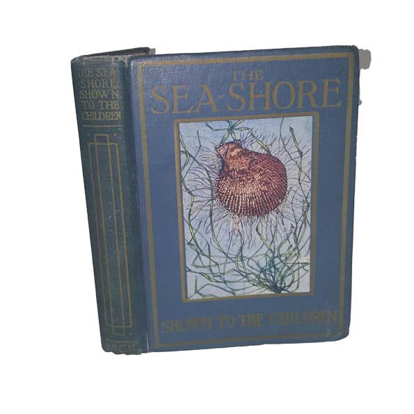 The Sea-Shore Shown to the Children by Janet Harvey Kelman