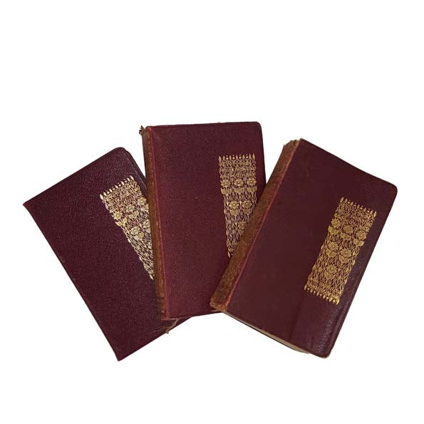 Charles Dickens Novels (3 Books)