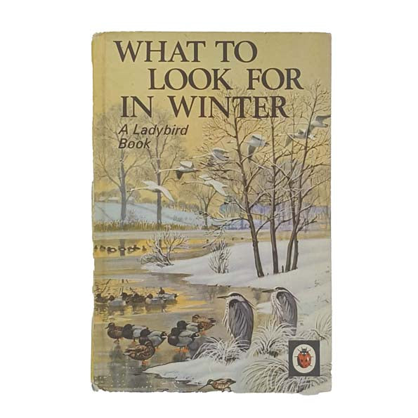 Ladybird 536: What to Look for in Winter