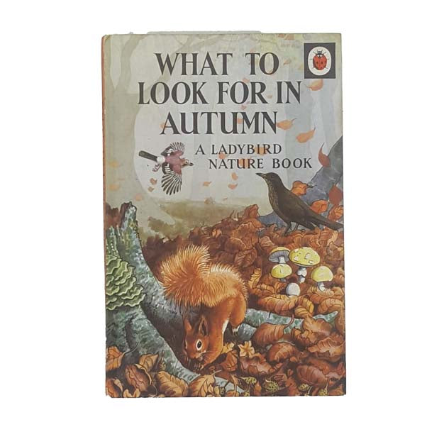 Ladybird 536: What to Look for in Autumn