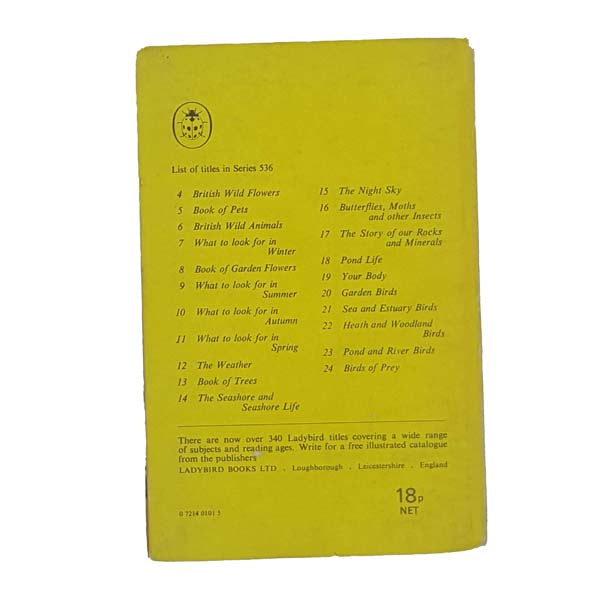 Ladybird 536: The Weather