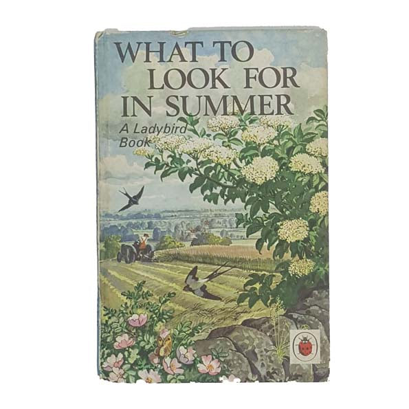Ladybird 536: What to Look for in Summer