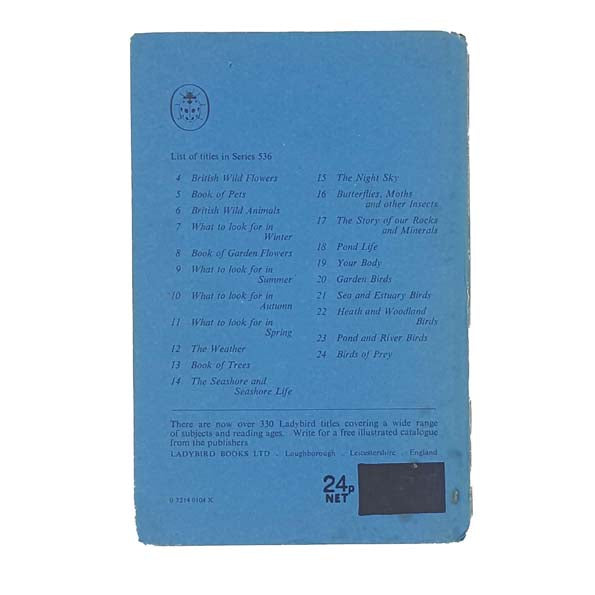 Ladybird 536: The Night Sky