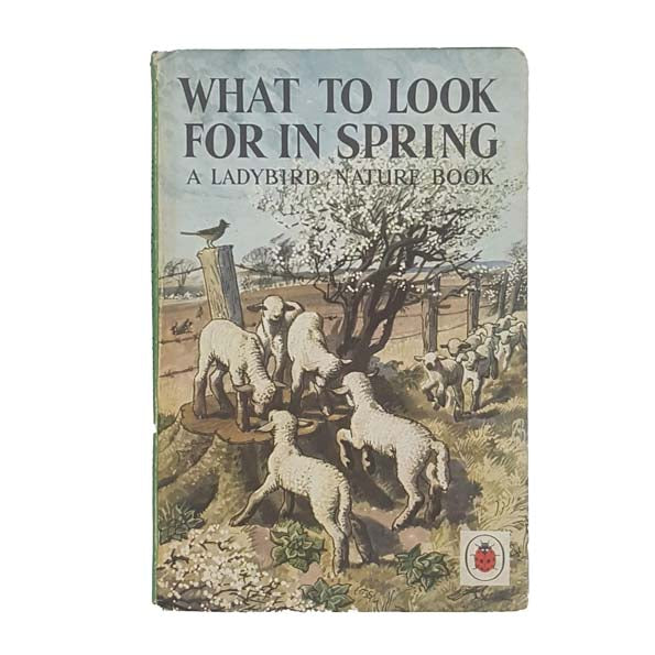 Ladybird 536: What to Look for in Spring