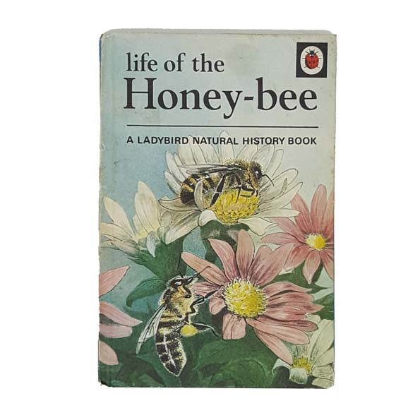 Ladybird 651 Natural History: Life of the Honey-Bee
