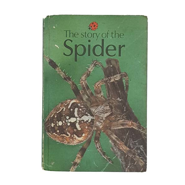 Ladybird 651 Natural History: Story of the Spider