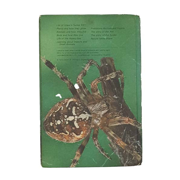 Ladybird 651 Natural History: Story of the Spider
