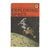 Ladybird 601 Achievements: Exploring Space