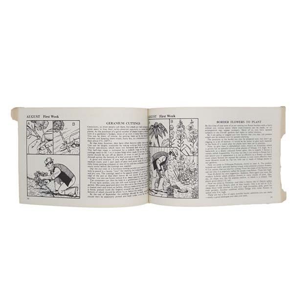 Adam the Gardener - Sunday Express