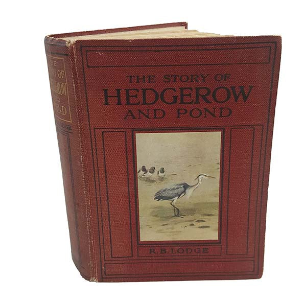 The Story of the Hedgerow and Pond by R. B. Lodge