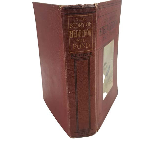 The Story of the Hedgerow and Pond by R. B. Lodge