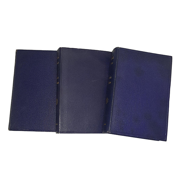 Charles Dickens Novels (3 Blue Books)