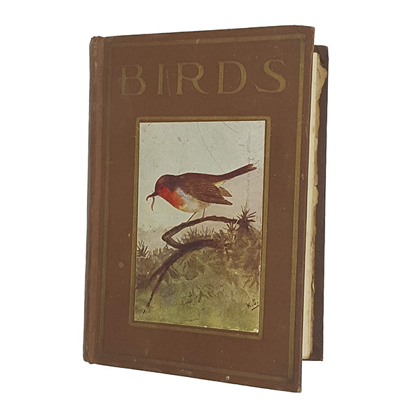 Birds by M.K.C. Scott - Nelson
