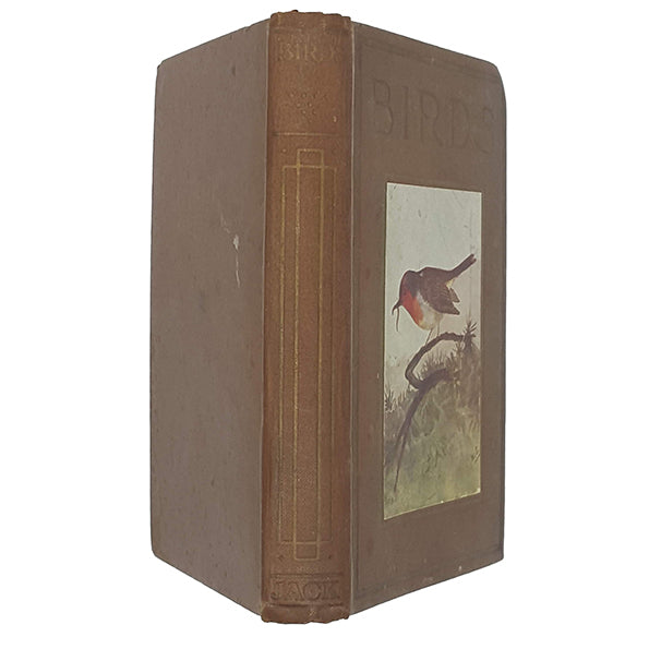 Birds by M.K.C. Scott - Nelson
